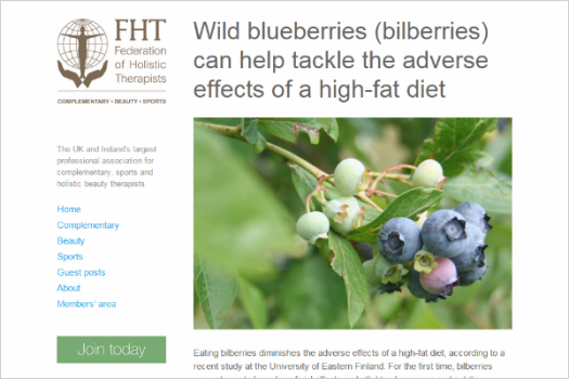 Top blog - spring issue