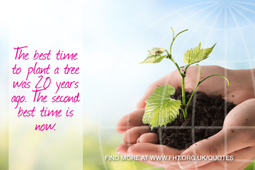 The best time to plant a tree was 20 years ago. The second best time is now. Chinese Proverb