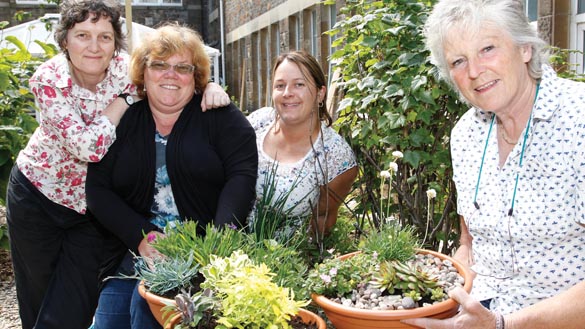 Ecotherapy Study Team