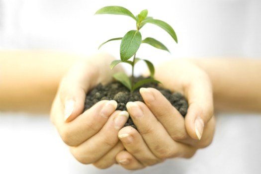 3 ways to grow your holistic practice