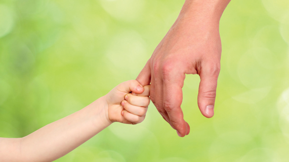 49639031 - a father  holds the hand of a small child on a green  background