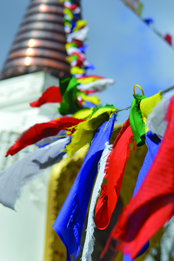 Kagyu Samye Ling flags