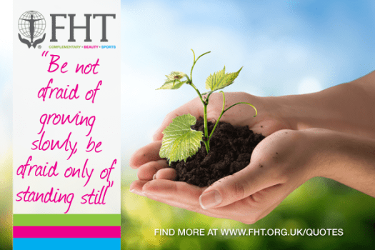 be not afraid of growing slowly be afraid only of standing still