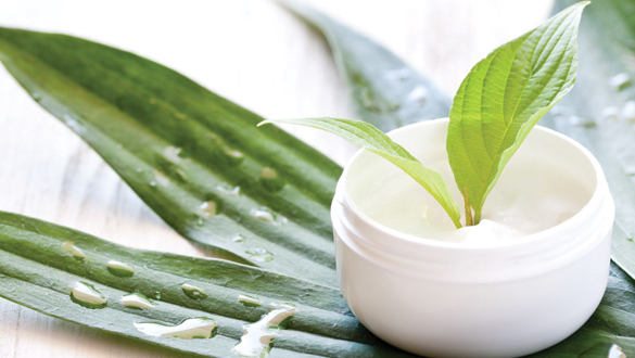 10423997 - face cream in a jar with green leaf