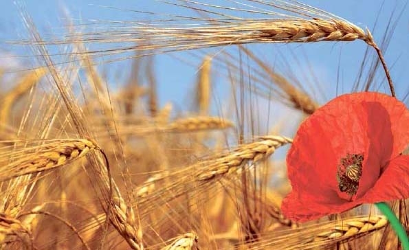 58d2b98007ac800939a09e83