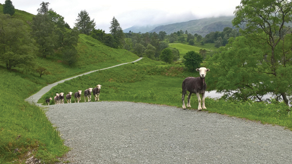 Lake District_low res