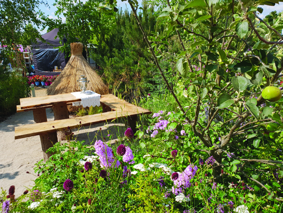 Checkov's garden_low res