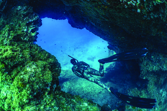 Scuba diving picture 2.jpg