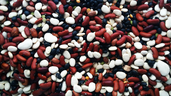 beans-3907708_1920.jpg