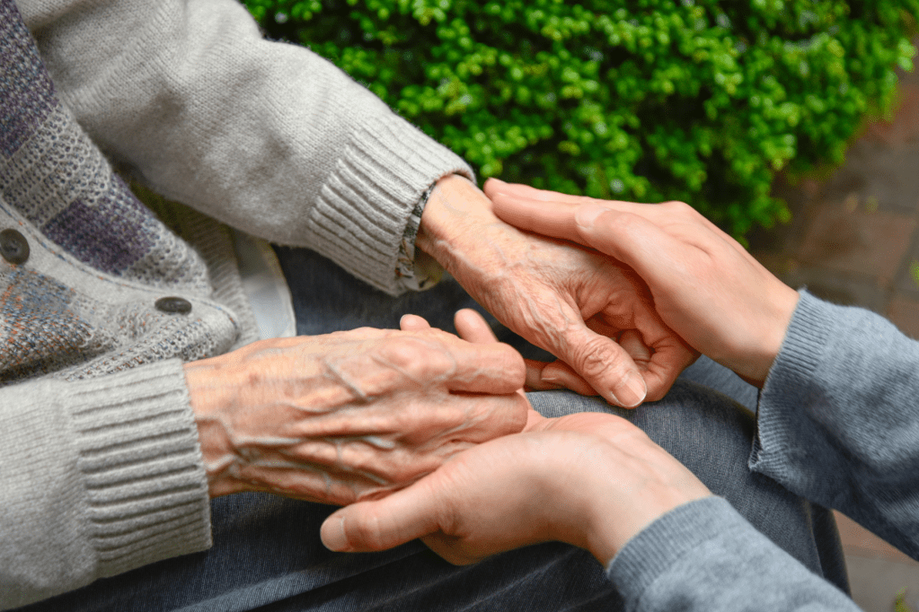 Encapsulating Holding Space & Meeting Needs – FHT Training Conference&nbsp;2023