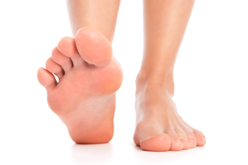 Q&A with Reflexologist Lynne Booth – FHT Training Conference&nbsp;2023